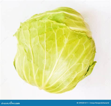 Vegetable on White Background Stock Image - Image of garden, greens ...