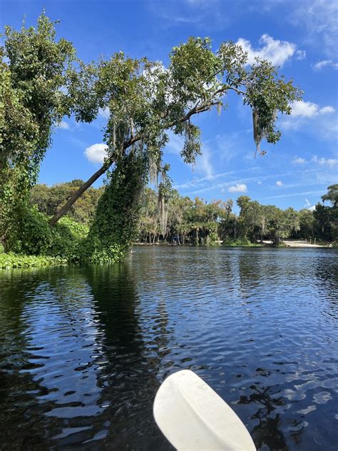 Tips for Taking a Blue Springs State Park Day Trip in 2024 - The Florida Travel Girl