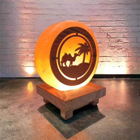 GLOBAL AROMA Mini 3D Desert Camel Himalayan Rock Salt Lamp for Vastu ...