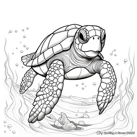 Image result for Turtle with Gun Coloring Pages Printable