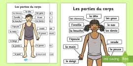 Les parties du corps | Ressource Twinkl