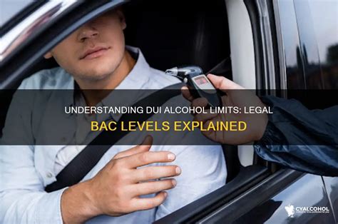 DUI Alcohol Level 的图像结果