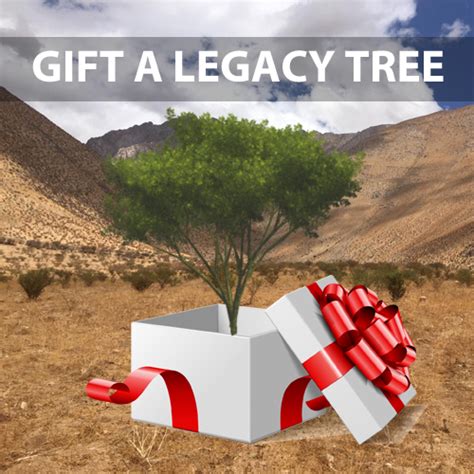 Image result for Legacy Tree Review