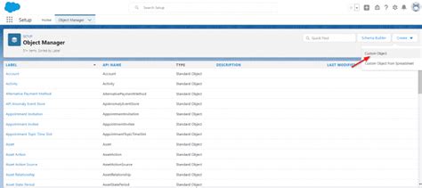 Image result for Create Visualforce Page for Custom Object