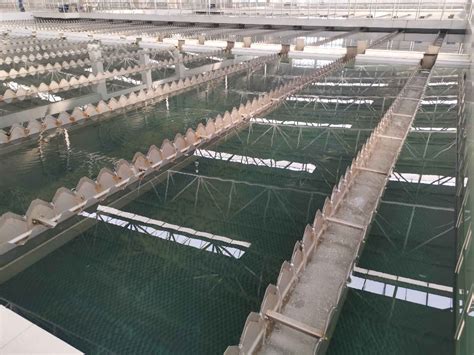 平房供水分公司积极开展二次供水接收改造攻坚战工作-哈尔滨供水集团有限责任公司