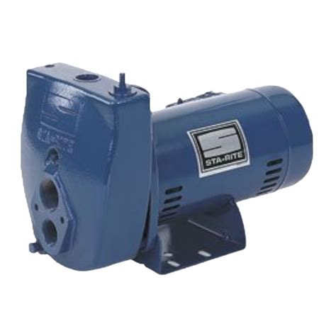 Image result for Sta-Rite Website