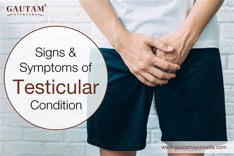Explore Symptoms of Testicular Condition