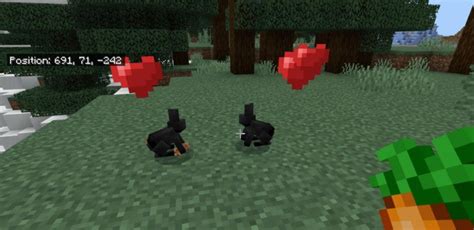 What Is The Cutest Animal In Minecraft? | Gurugamer.com