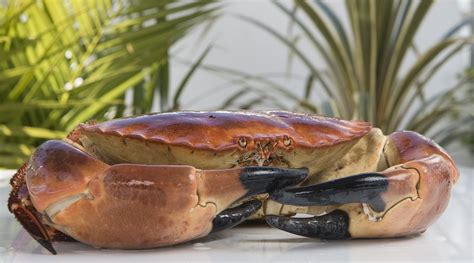 QUAYSIDE BISTRO & GRILL, St. Helier - Menu, Prices & Restaurant Reviews ...