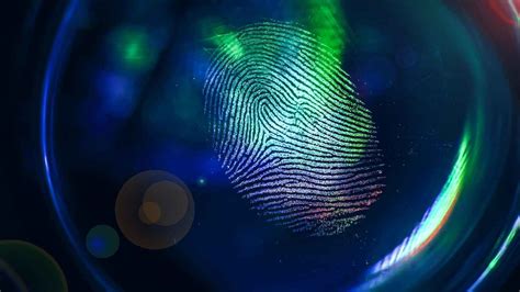 Watch Cold Case Forensics Web Series Online, All Seasons and Episodes ...