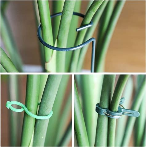 Buy Micnaron 6 Pack 16 inch Plant Support Stakes,Garden Single Stem ...