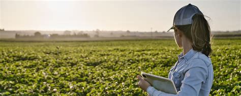 Interest Expenses on Farmland Debt Could Challenge Farm Profitability ...