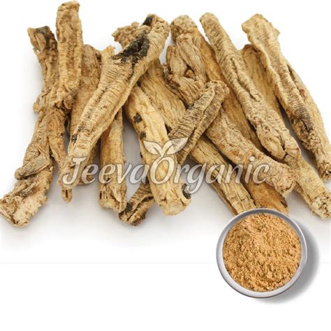 Codonopsis Root Extract Powder 10:1 Supplier