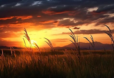 Photo 的图像结果