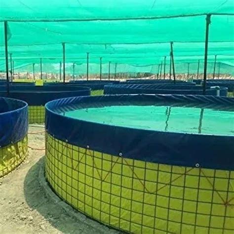 Biofloc Tank - 3 dia PVC Biofloc Fish Tank Tarpaulin Trader ...