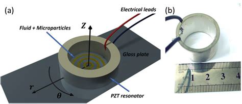 Acoustic Manipulation of Intraocular Particles