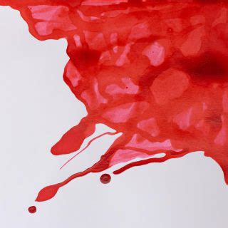 htconline.in| Winsor & Newton Drawing Ink Scarlet - htconline.in