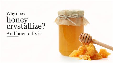 Why does honey crystallize? And how to fix it – Loudfood
