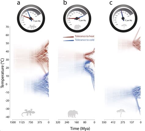 Image result for Macroevolution Controversy