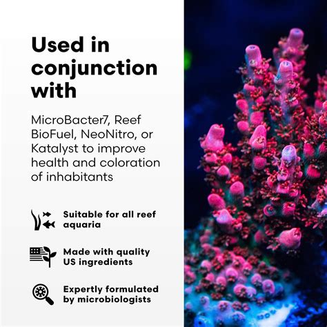 Brightwell Aquatics - Neophos - Balanced Phosphorus Source For ...