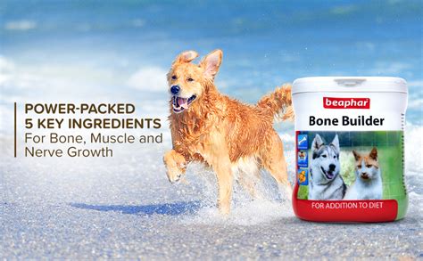 Buy Beaphar Bone Builder Powder with Calcium | Strong Bones and Teeth ...
