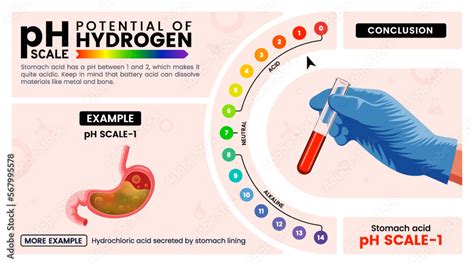 PH Scale Explained 的图像结果