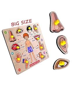 Vworld 3D Human Body Parts Wooden Puzzle Wooden Toys for Kids 3 ...