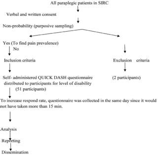 Sampling Process 的图像结果