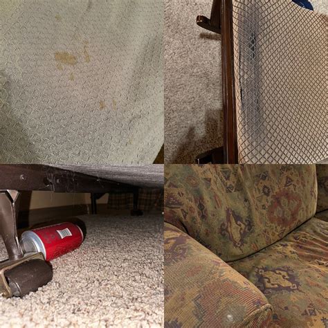 THE PHOENIX AT STEAMBOAT (Steamboat Springs) - Apartment Reviews ...