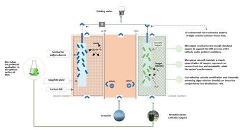 Algae-Assisted Microbial Desalination Cell: Analysis of Cathode ...
