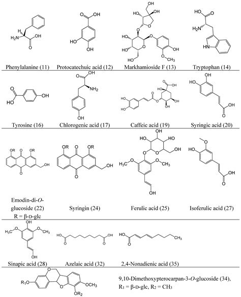 Identification and Pharmacokinetics of Multiple Potential Bioactive ...