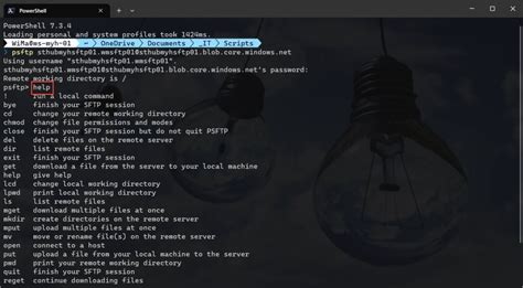 How to SFTP Root-Owned Files 的图像结果