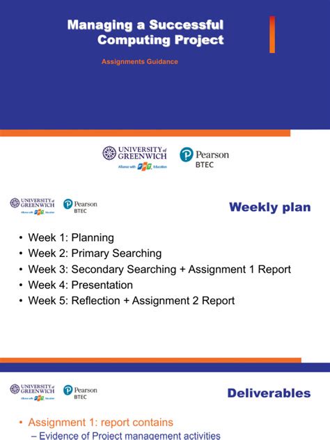 Assignment Guide Sample 的图像结果