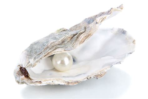 The ultimate pearl guide – Artofit