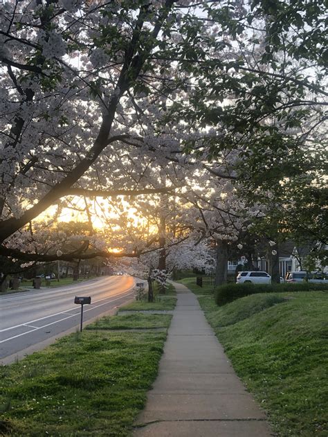 About Sylvan Park — Sylvan Park Neighborhood Association