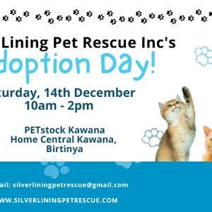 Adoption Day at PetStock Kawana, PETstock (Kawana Waters), Birtinya, 14 ...