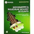 Buy BIOCHEMISTRY AND MOLECULAR BIOLOGY OF PLANTS 2ED (PB 2015) Book ...