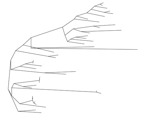 Image result for Tree Visualization