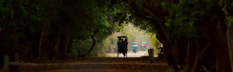 Bharatpur Bird Sanctuary, Book Keoladeo National Park Online