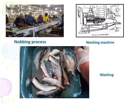 Image result for Fish processing Fish Canning Process