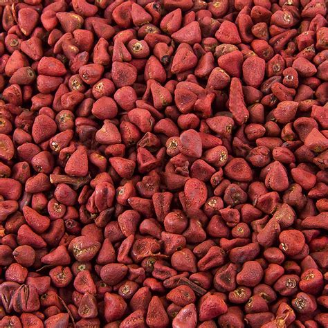 Semillas de achiote, del arbusto de Orleans., 1 kg, bolsa | GOURMET ...