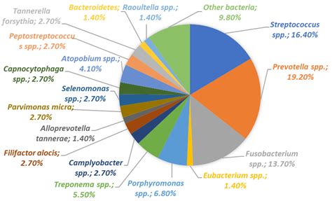 How Can Imbalance in Oral Microbiota and Immune Response Lead to Dental ...