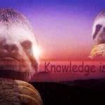 Knowledge Is Power Meme 的图像结果