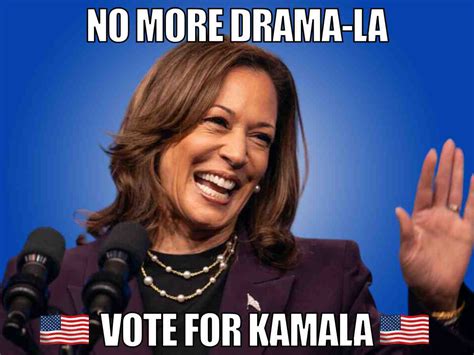 Best Election Memes: Vote And Use Your Voice 2024