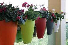 vasi colorati per piante vasos para varandas vasi colorati per piante vasos para varandas