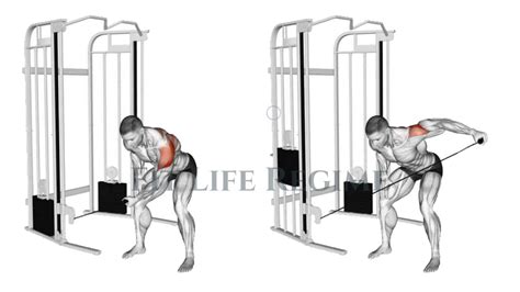 Rear Delt Fly: Muscles Worked, Benefits, Variations