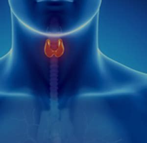 Our Specialities | Ayushman Hospital and Health Services