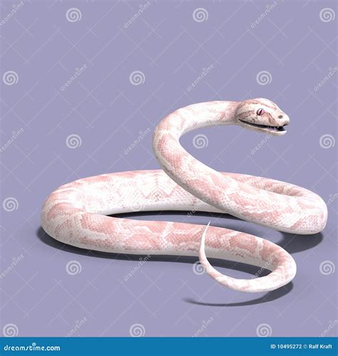 White Ball Python 的图像结果