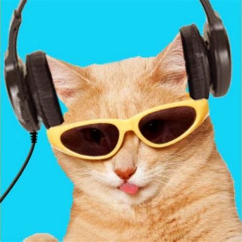 Image result for Talking Animals Compilation