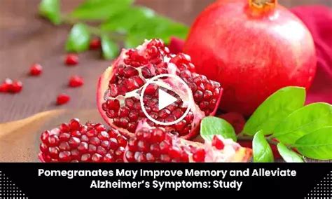 Neurology and Neurosurgery MDTV